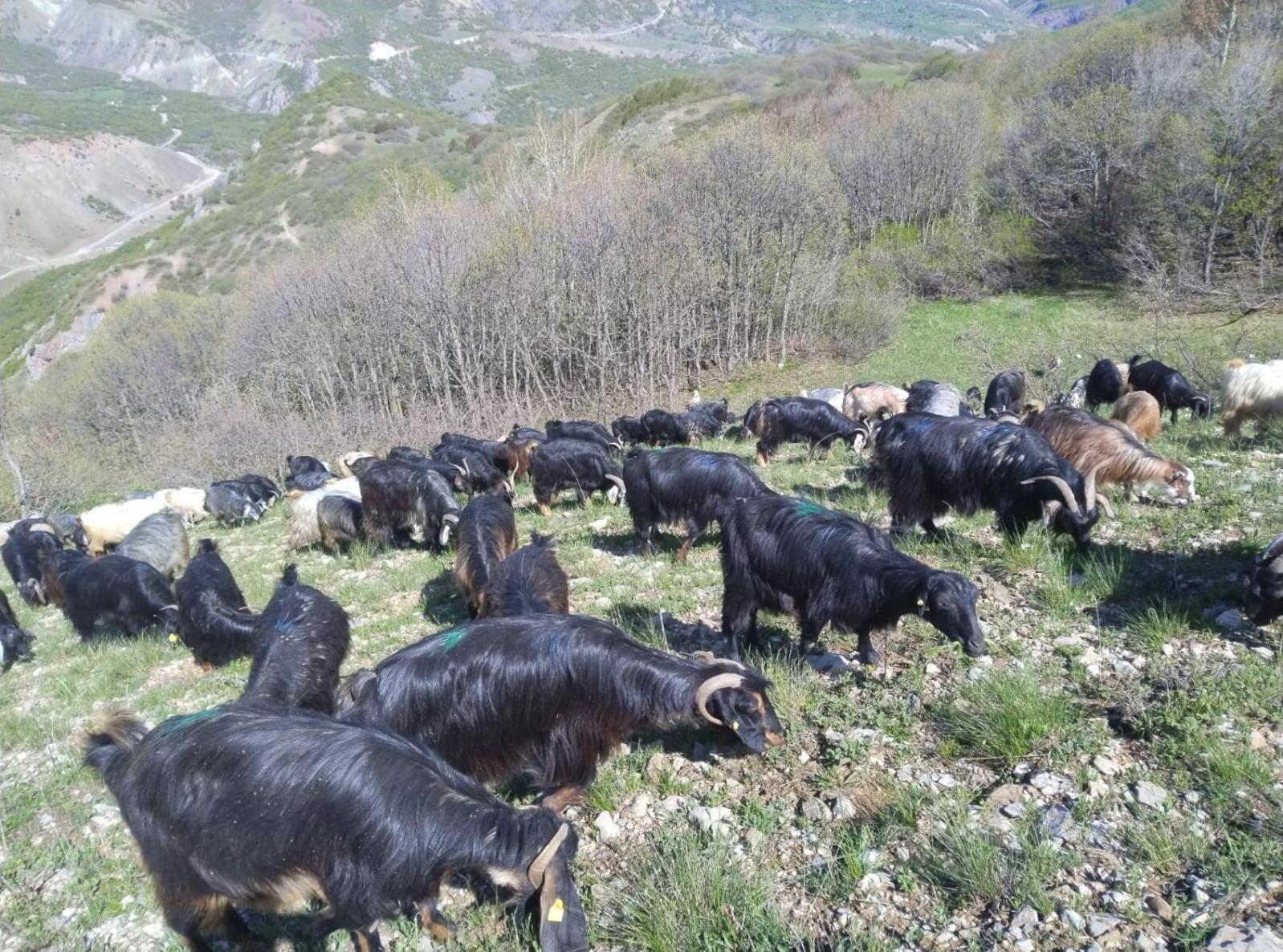 Askireg Hotel Tunceli Luaran gambar